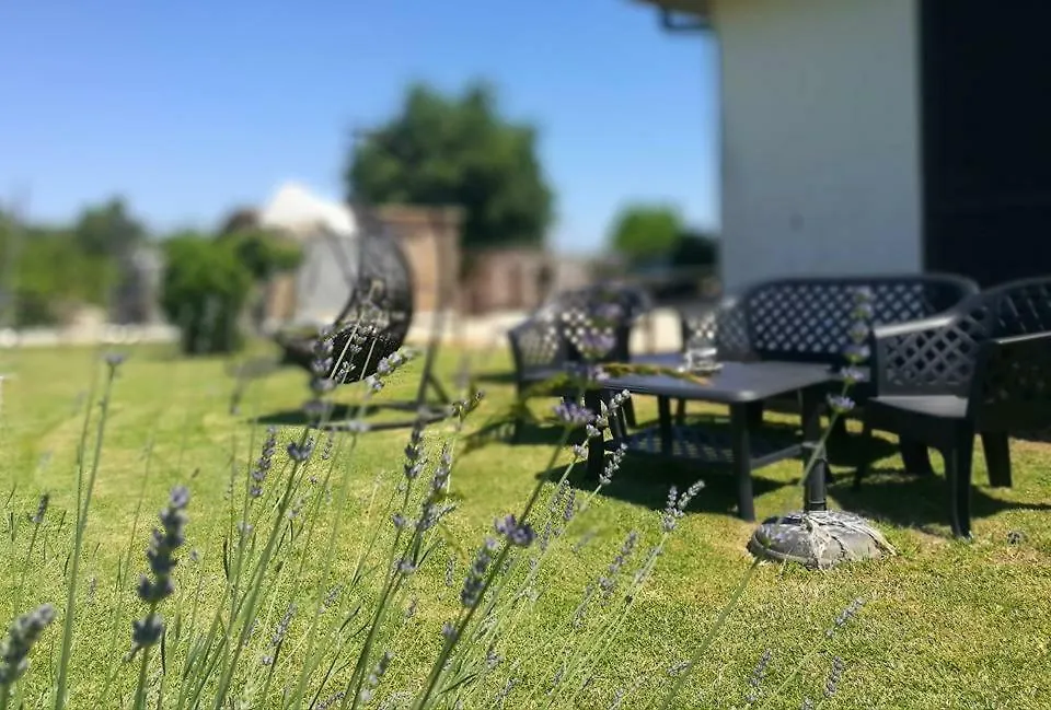 Agriturismo La Valle Dell'Albegna Orbetello