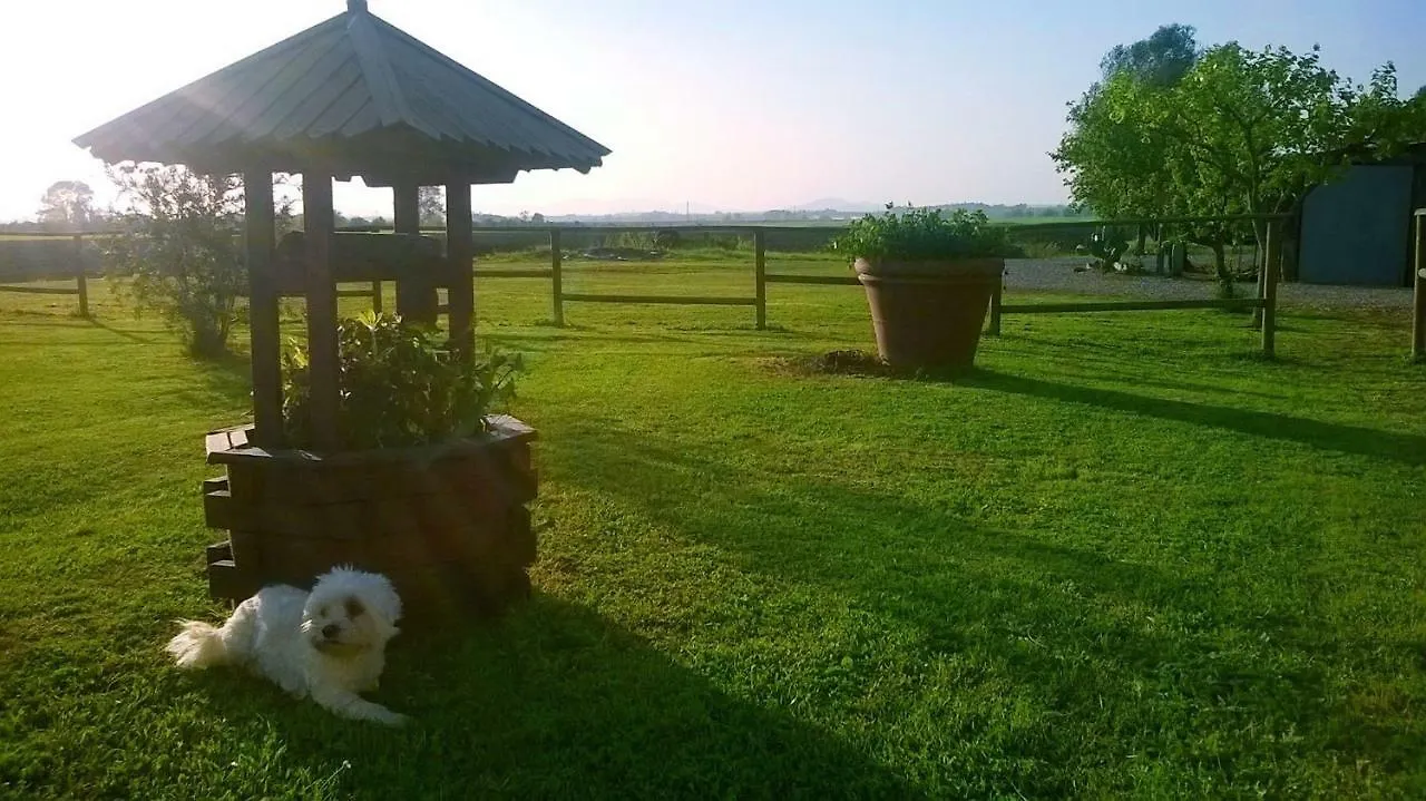 Agriturismo La Valle Dell'Albegna Orbetello Farm stay