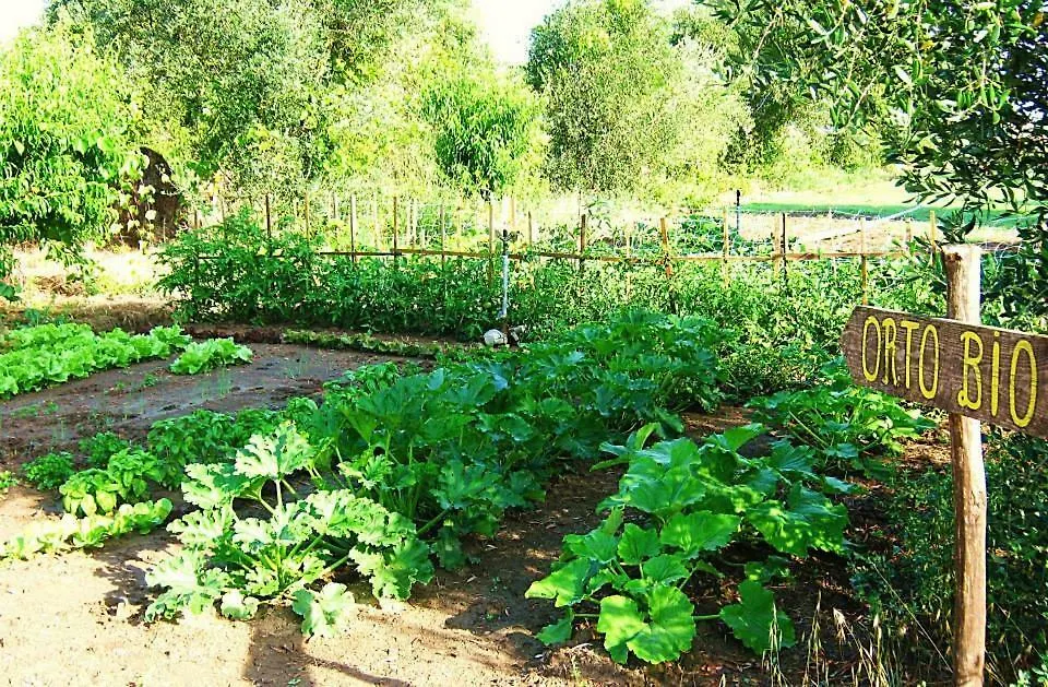 Agriturismo La Valle Dell'Albegna 奥尔贝泰洛 0*,